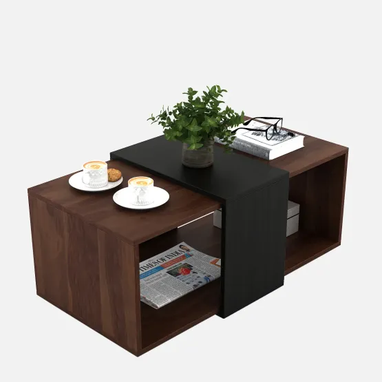 Kosmo Center Table Ct 109 In Sheesham & Natural Wenge